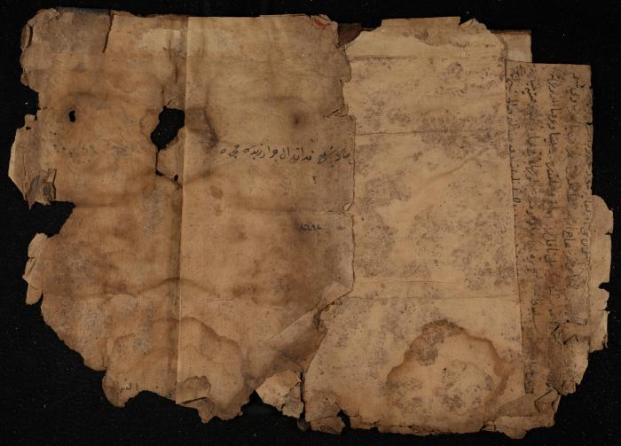Several Pages of a Manuscript, November 1882