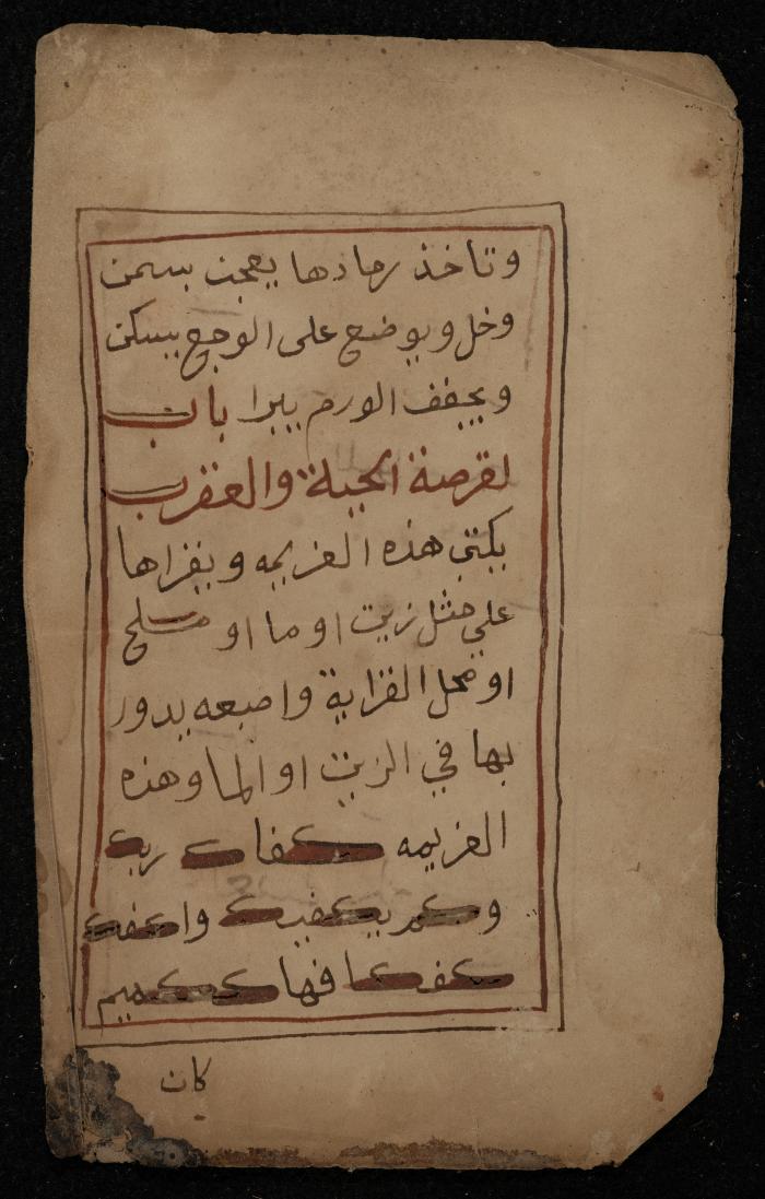 A Manuscript on Traditional Medicine, the 19th Century 