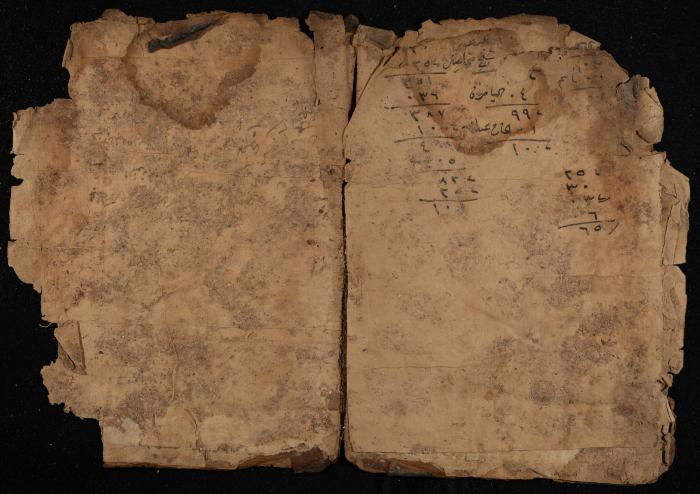 Several Pages of a Manuscript, November 1882
