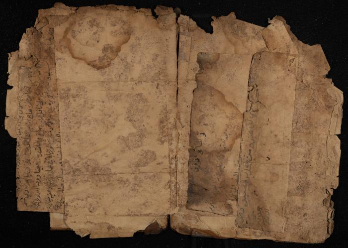 Several Pages of a Manuscript, November 1882