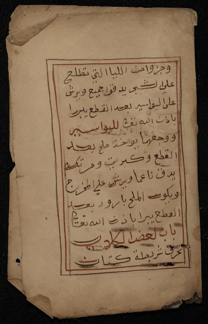 A Manuscript on Traditional Medicine, the 19th Century 