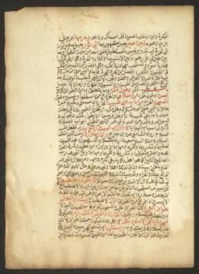 مخطوطة في الفقه، القرن التاسع عشر