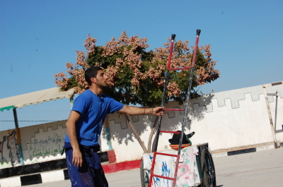 "أحلام للبيع"، مدرسة سيرك فلسطين، قلقيلية