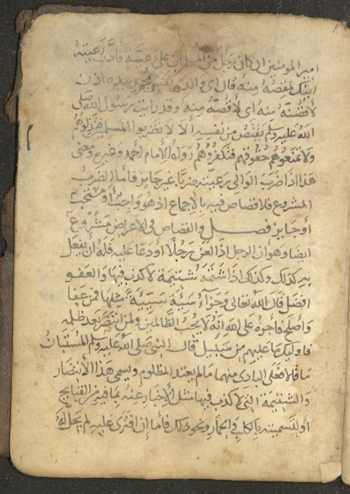 مخطوطة في السيرة النبوية، القرن التاسع عشر