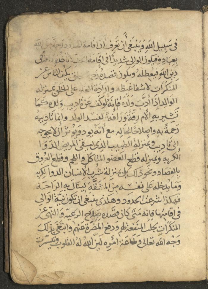 مخطوطة في السيرة النبوية، القرن التاسع عشر