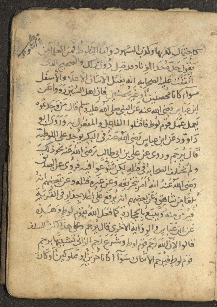 مخطوطة في السيرة النبوية، القرن التاسع عشر