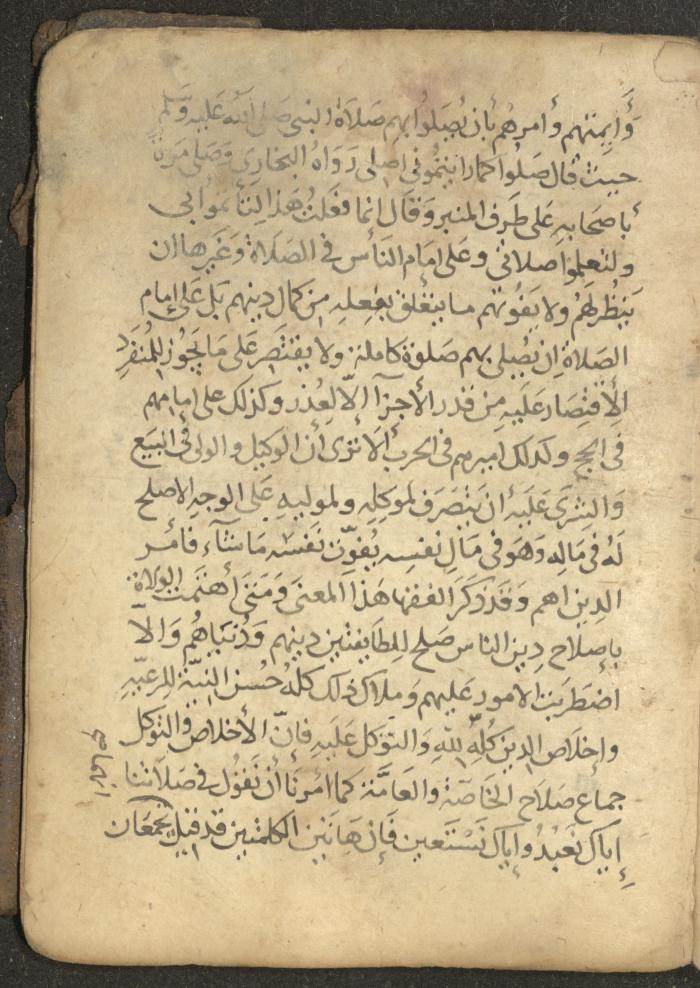 مخطوطة في السيرة النبوية، القرن التاسع عشر