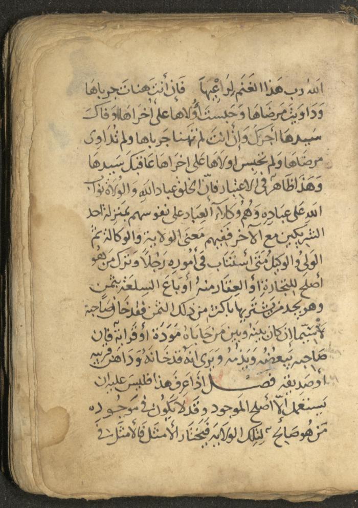 مخطوطة في السيرة النبوية، القرن التاسع عشر