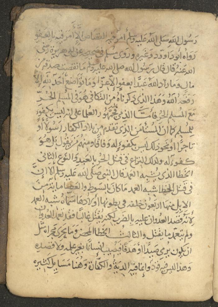 مخطوطة في السيرة النبوية، القرن التاسع عشر