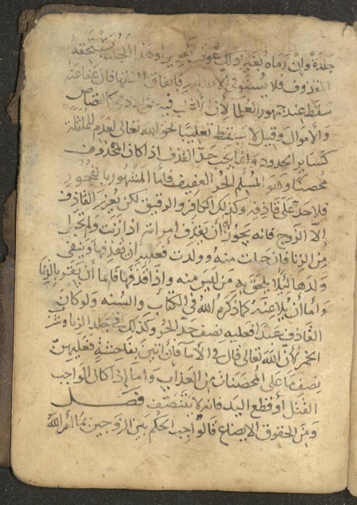 مخطوطة في السيرة النبوية، القرن التاسع عشر