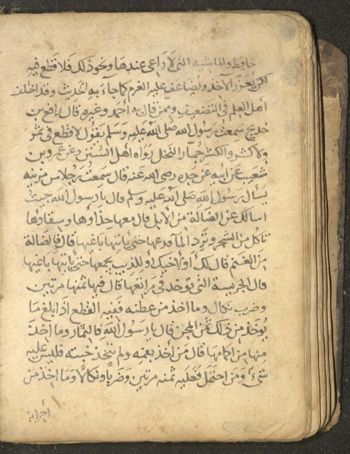 مخطوطة في السيرة النبوية، القرن التاسع عشر