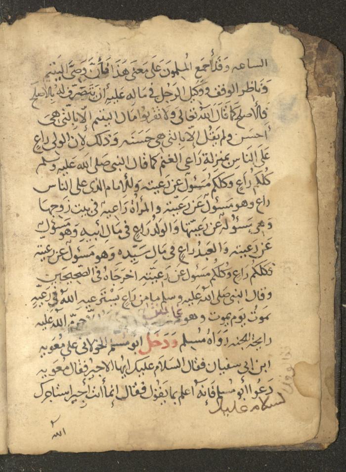 مخطوطة في السيرة النبوية، القرن التاسع عشر