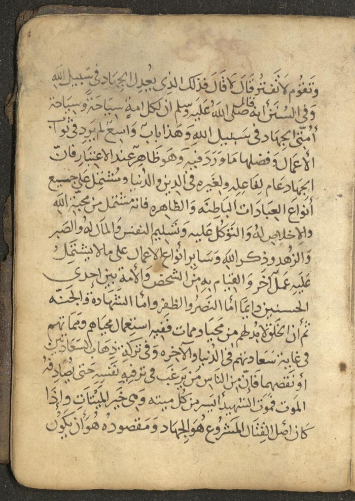 مخطوطة في السيرة النبوية، القرن التاسع عشر