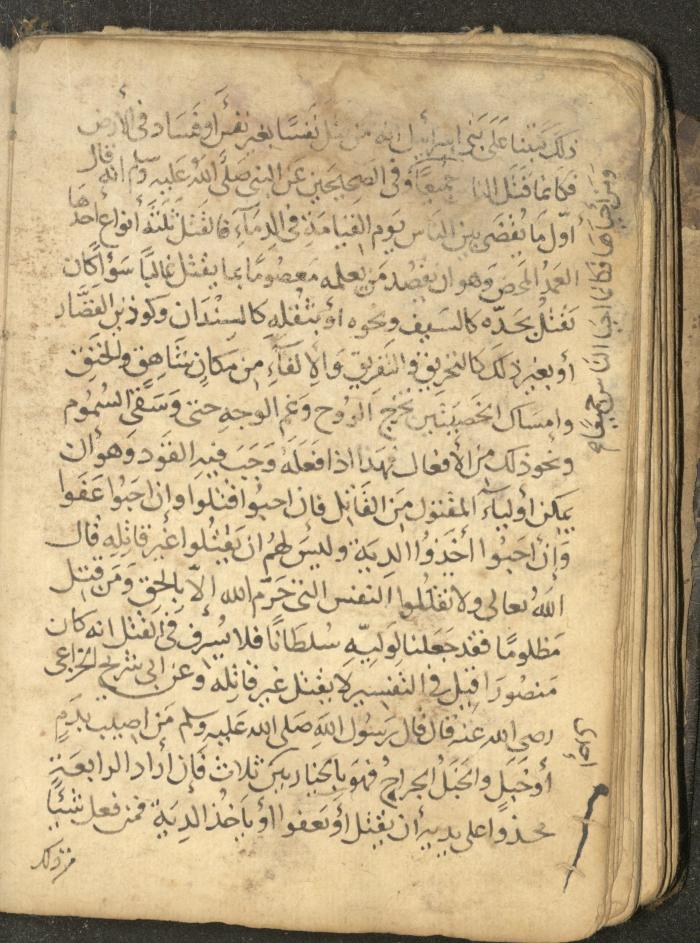 مخطوطة في السيرة النبوية، القرن التاسع عشر