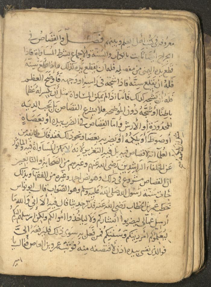 مخطوطة في السيرة النبوية، القرن التاسع عشر