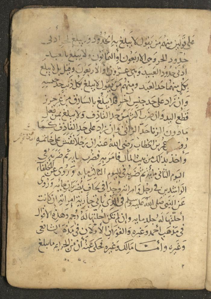 مخطوطة في السيرة النبوية، القرن التاسع عشر