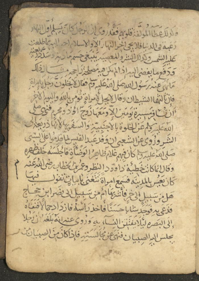مخطوطة في السيرة النبوية، القرن التاسع عشر