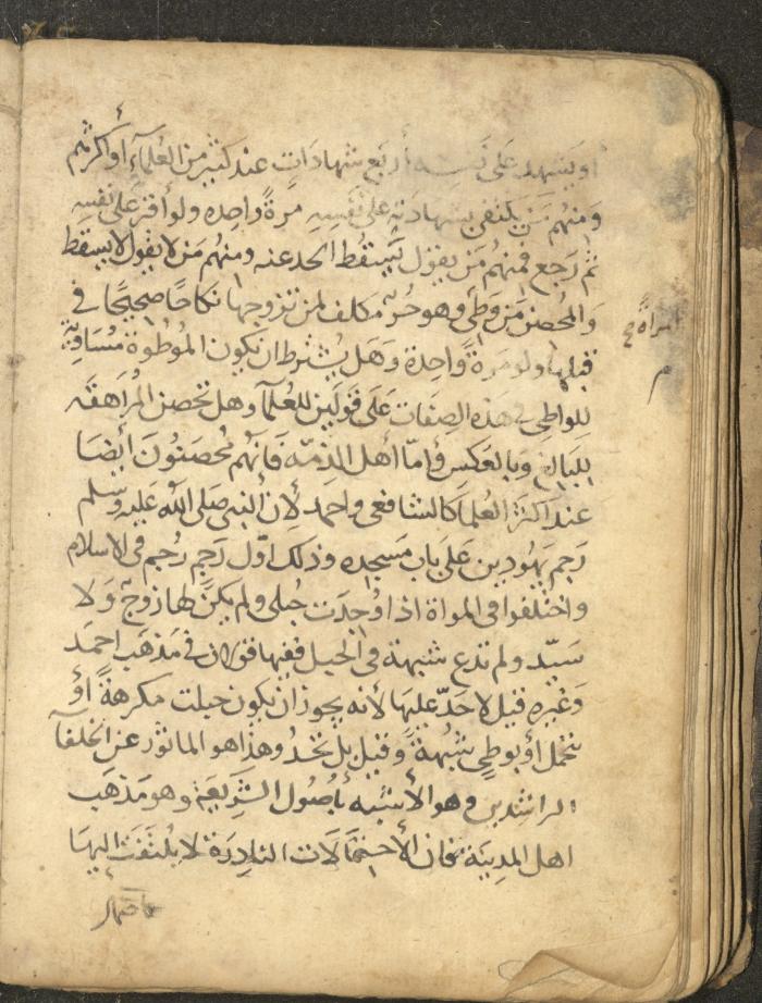 مخطوطة في السيرة النبوية، القرن التاسع عشر