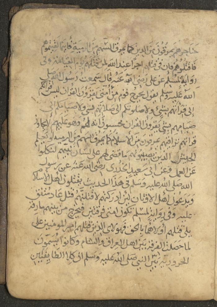 مخطوطة في السيرة النبوية، القرن التاسع عشر