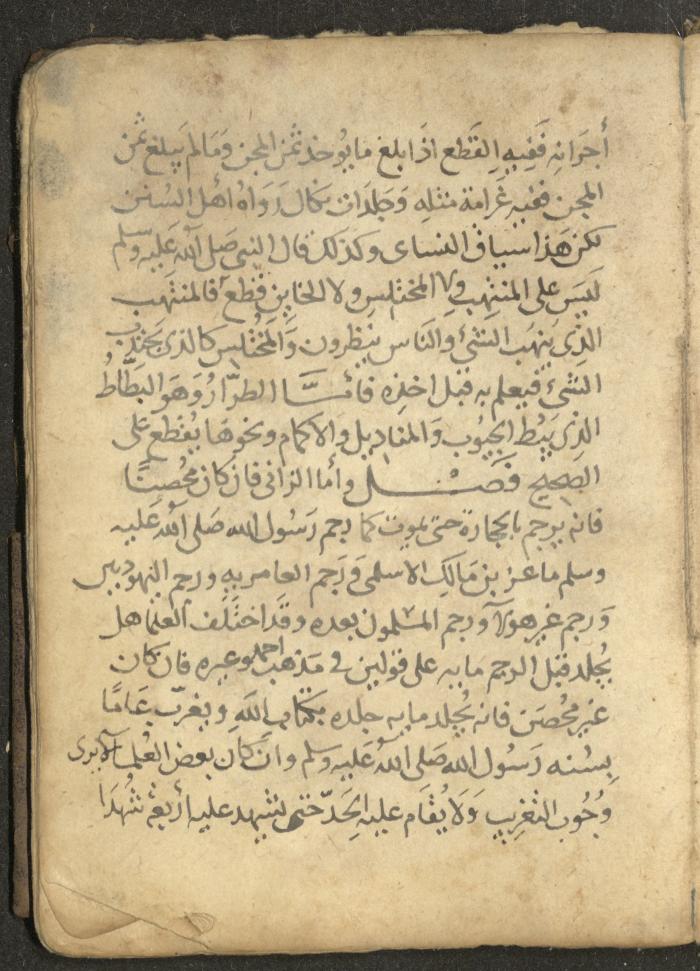 مخطوطة في السيرة النبوية، القرن التاسع عشر