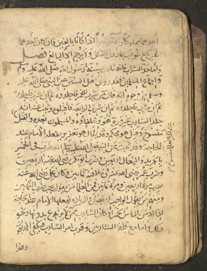 مخطوطة في السيرة النبوية، القرن التاسع عشر