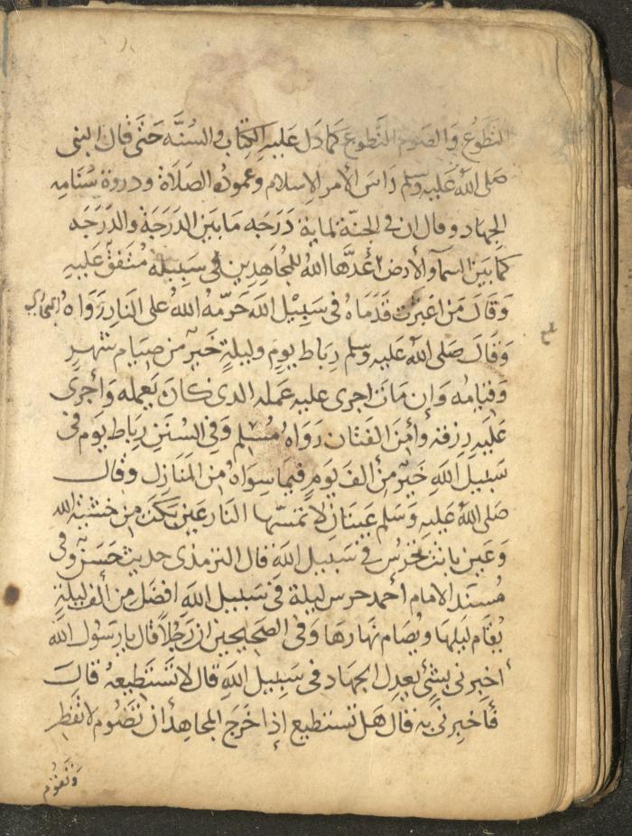 مخطوطة في السيرة النبوية، القرن التاسع عشر