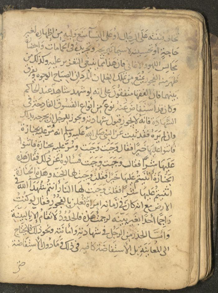 مخطوطة في السيرة النبوية، القرن التاسع عشر