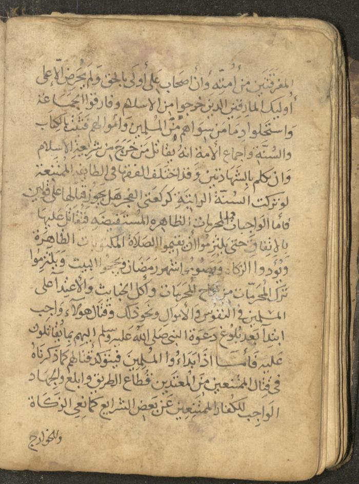 مخطوطة في السيرة النبوية، القرن التاسع عشر