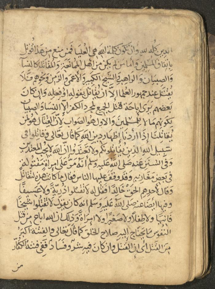 مخطوطة في السيرة النبوية، القرن التاسع عشر