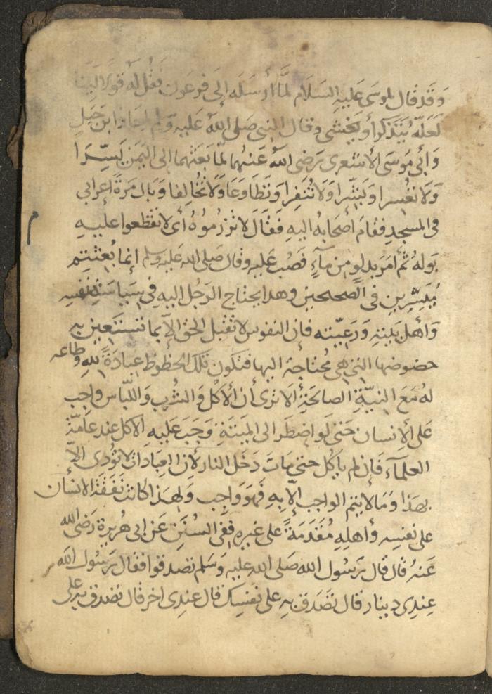 مخطوطة في السيرة النبوية، القرن التاسع عشر