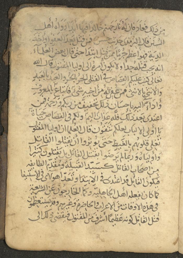 مخطوطة في السيرة النبوية، القرن التاسع عشر
