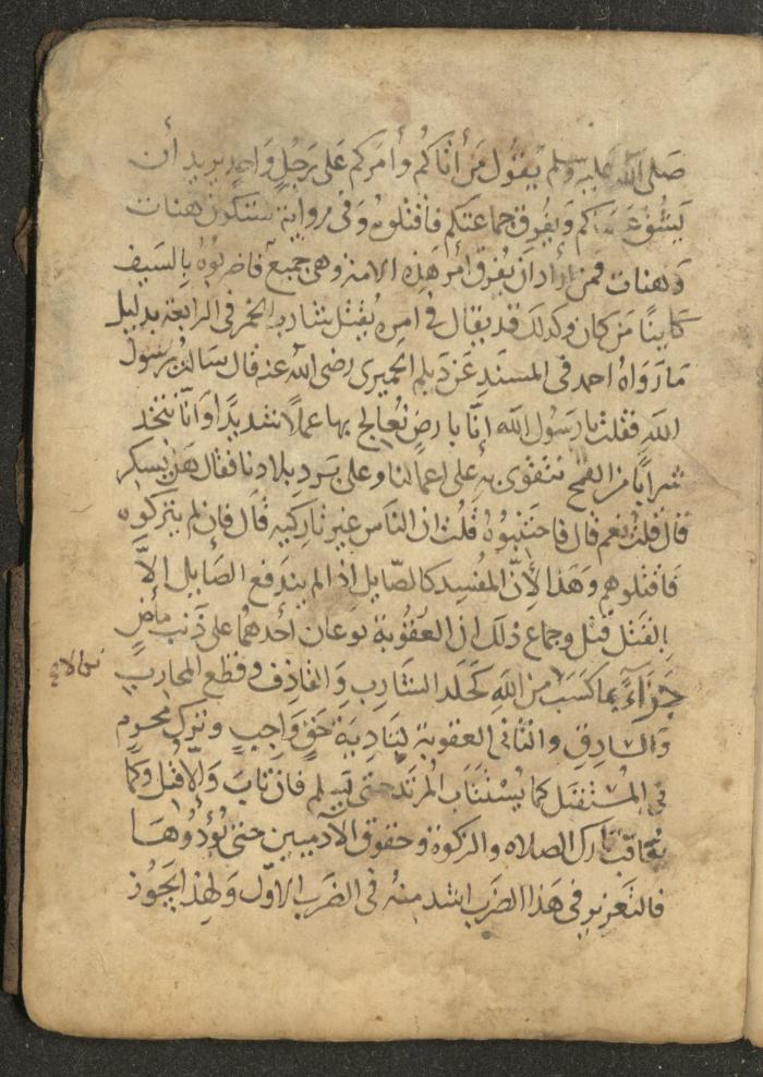 مخطوطة في السيرة النبوية، القرن التاسع عشر