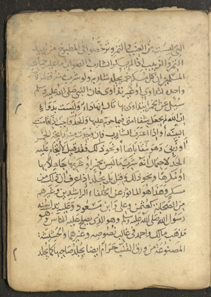 مخطوطة في السيرة النبوية، القرن التاسع عشر