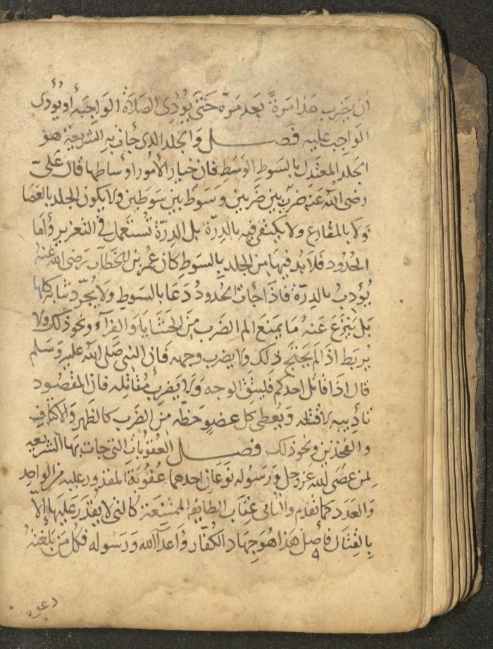 مخطوطة في السيرة النبوية، القرن التاسع عشر