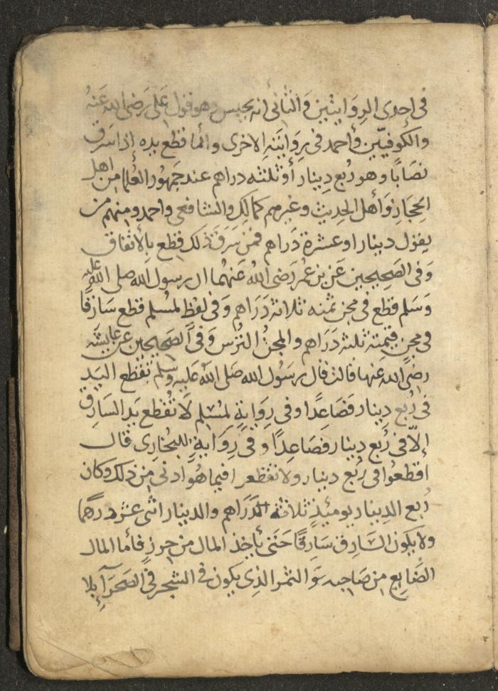 مخطوطة في السيرة النبوية، القرن التاسع عشر