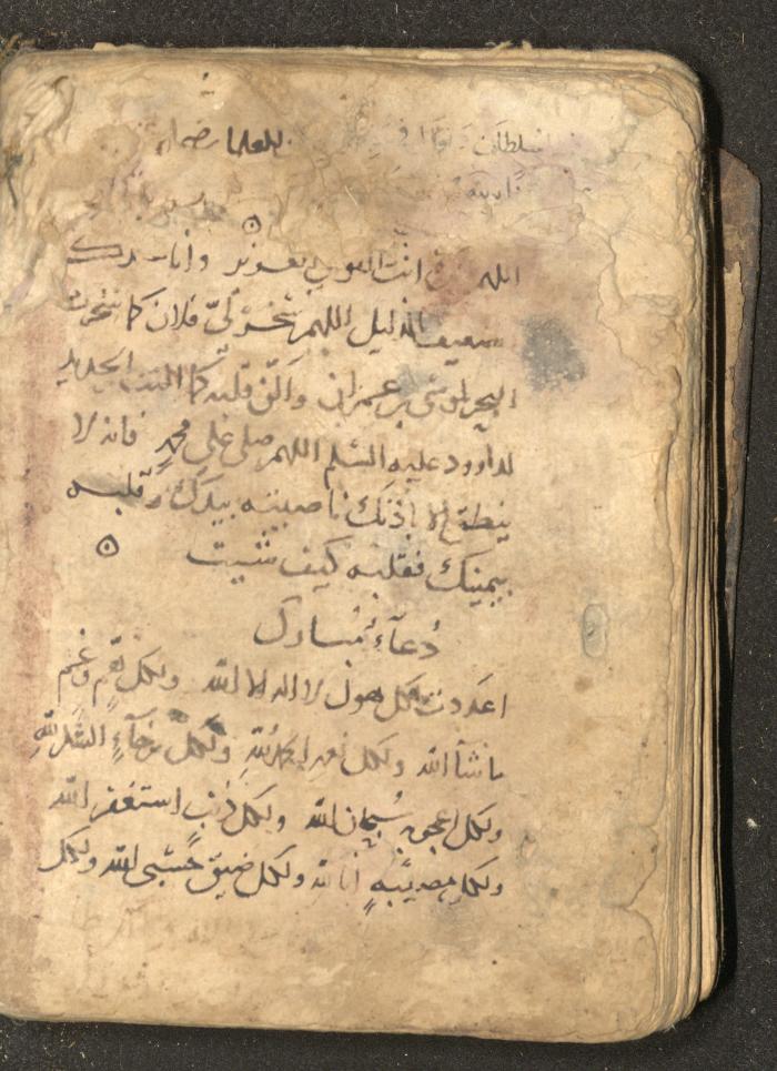 مخطوطة في السيرة النبوية، القرن التاسع عشر