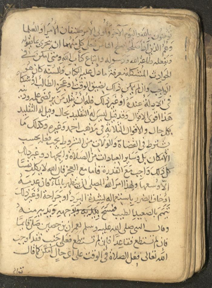 مخطوطة في السيرة النبوية، القرن التاسع عشر