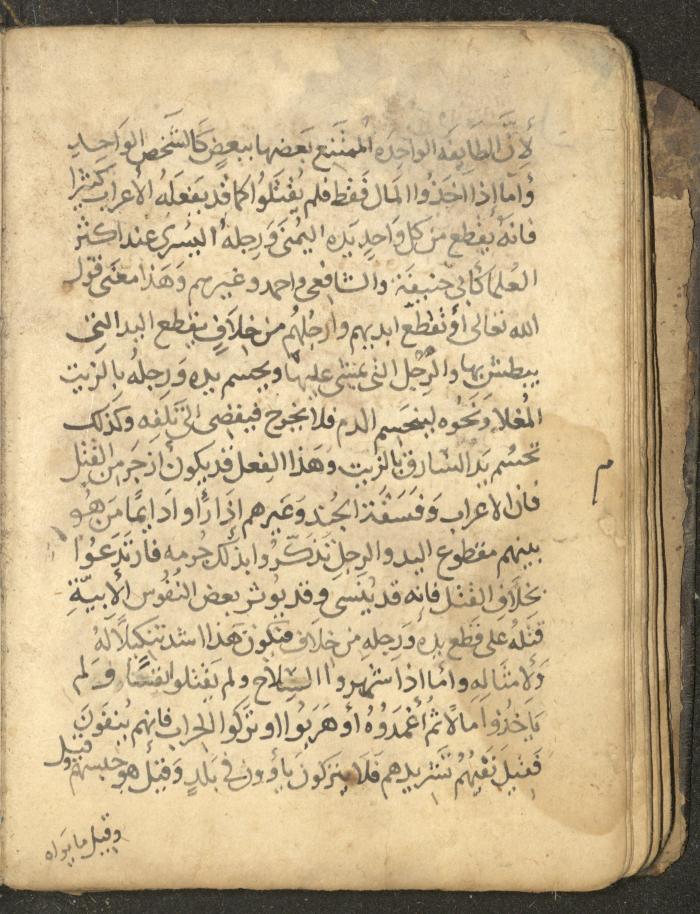 مخطوطة في السيرة النبوية، القرن التاسع عشر