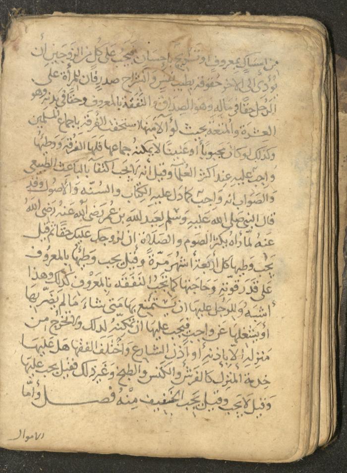 مخطوطة في السيرة النبوية، القرن التاسع عشر