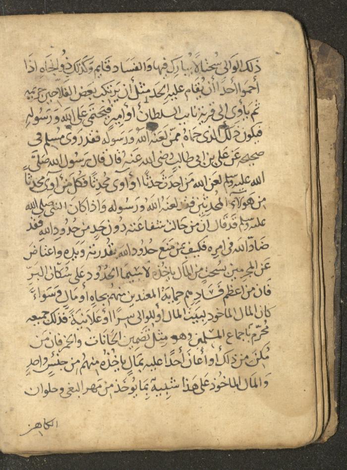 مخطوطة في السيرة النبوية، القرن التاسع عشر