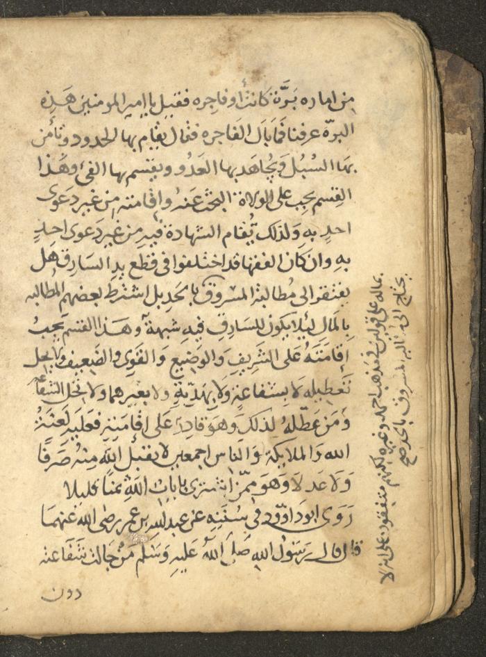 مخطوطة في السيرة النبوية، القرن التاسع عشر