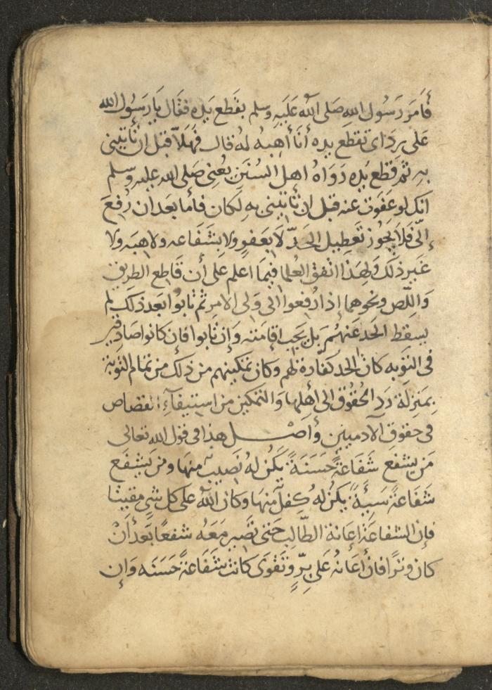 مخطوطة في السيرة النبوية، القرن التاسع عشر