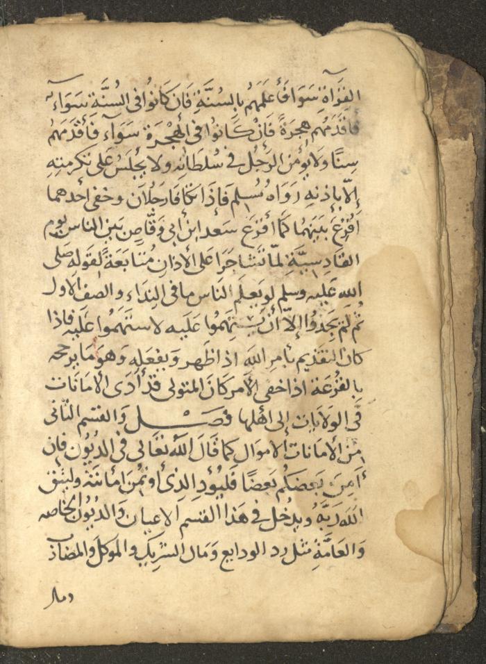 مخطوطة في السيرة النبوية، القرن التاسع عشر