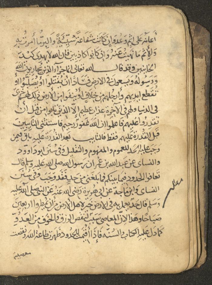 مخطوطة في السيرة النبوية، القرن التاسع عشر