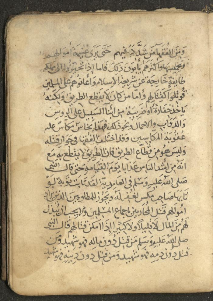 مخطوطة في السيرة النبوية، القرن التاسع عشر
