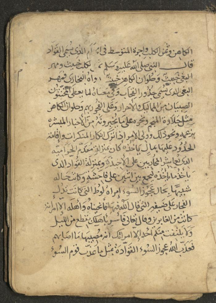 مخطوطة في السيرة النبوية، القرن التاسع عشر