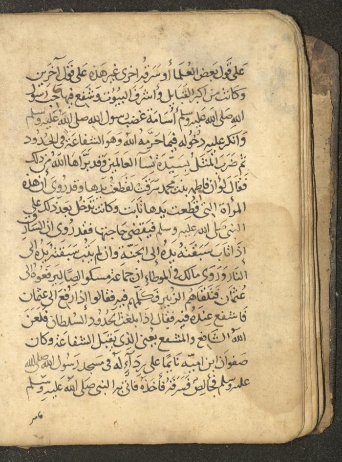 مخطوطة في السيرة النبوية، القرن التاسع عشر