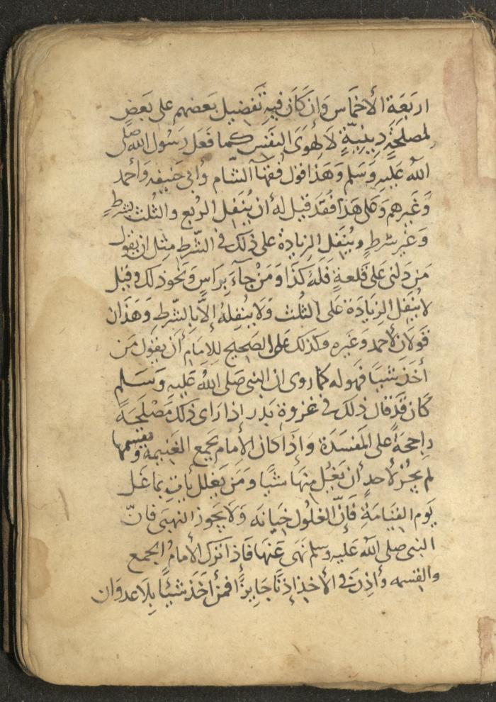مخطوطة في السيرة النبوية، القرن التاسع عشر