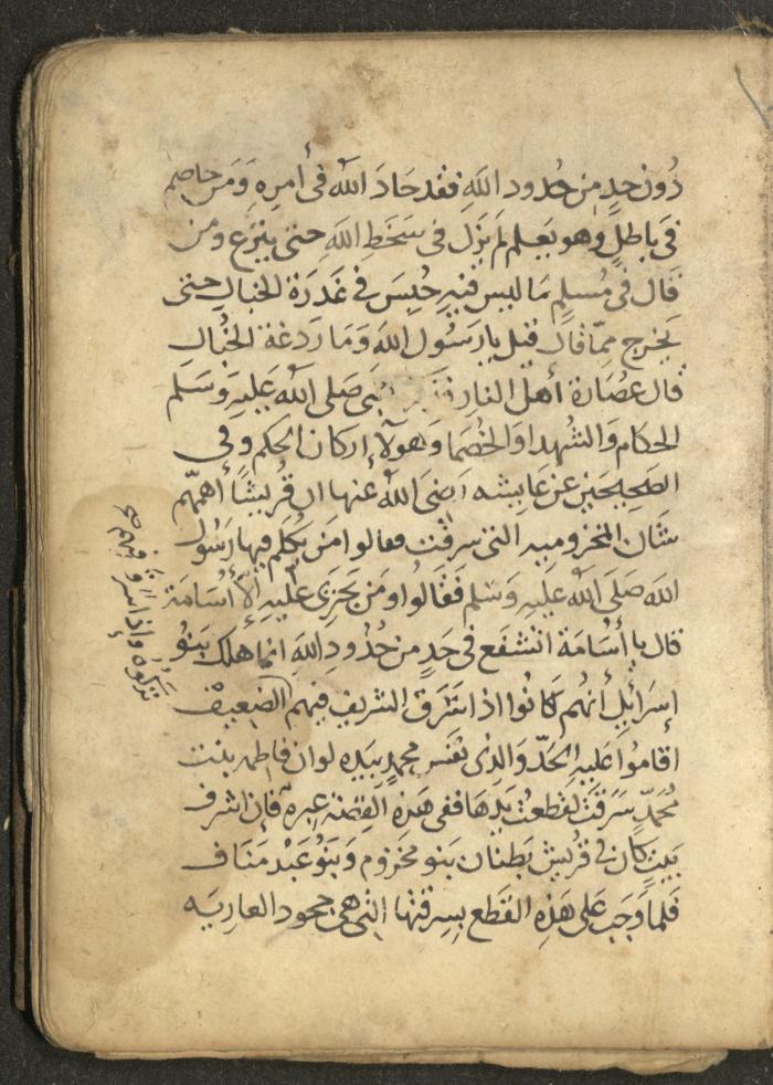 مخطوطة في السيرة النبوية، القرن التاسع عشر