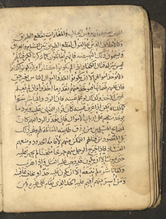 مخطوطة في السيرة النبوية، القرن التاسع عشر